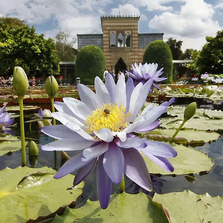 Brita Stuttgart Hotell