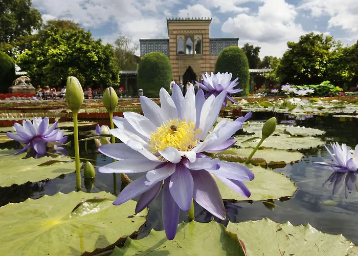 Brita Stuttgart Hotell