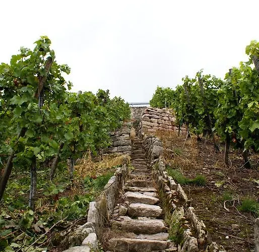 Hotell Brita Stuttgart Riedern