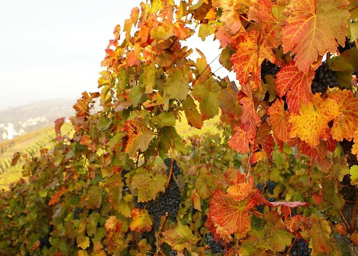 호텔 Brita Stuttgart